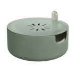 magic microgreens blad groen